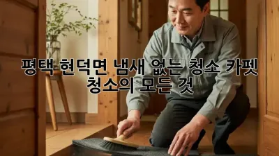 평택 현덕면 냄새 없는 청소: 카펫 청소의 모든 것