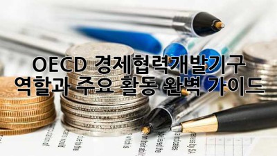 OECD 경제협력개발기구: 역할과 주요 활동 완벽 가이드