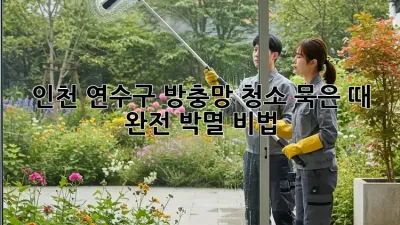 🏡✨인천 연수구 방충망 청소: 묵은 때 완전 박멸 비법!